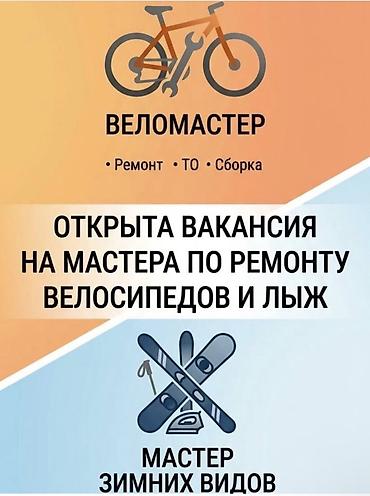 Лыжи: Открыта вакансия мастера по ремонту велосипедов и лыж/сноубордов — 1