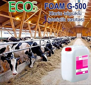 Dezinfeksiyaedici maddələr: ECOS FOAM G-500 – xlorlu köpüklü təmizlik vasitəsi Təsvir: - Ferma — 1