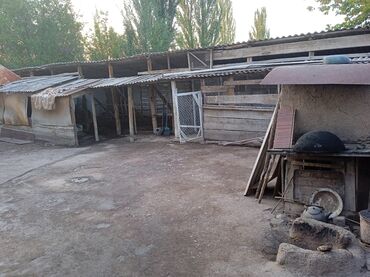 Продажа домов: Времянка, 53 м², 3 комнаты, Собственник — 11