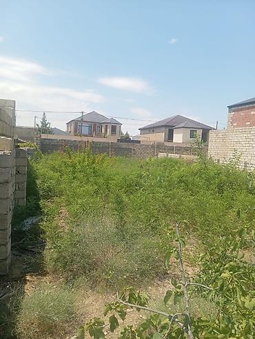 nardaranda torpaq: 13 sot, Tikinti, Mülkiyyətçi, Kupça (Çıxarış) — 3