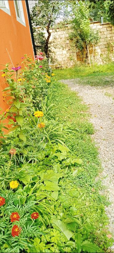 Günlük kirayə evlər: 90 kv. m, 3 otaqlı, İnternet, Telefon, Qaz — 28