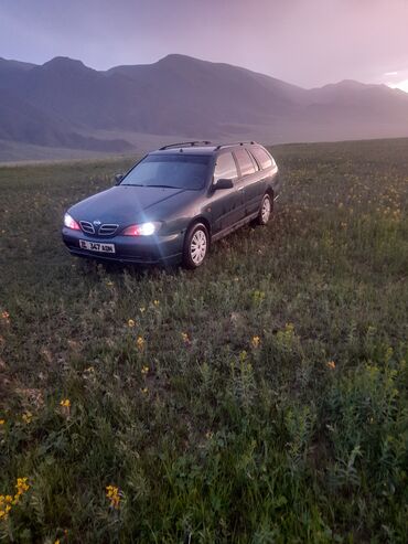 ниссан примера 1999: Nissan Primera: 2001 г., 1.8 л, Механика, Бензин, Универсал