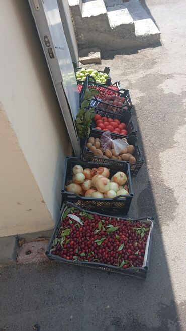 Digər kommersiya daşınmaz əmlakı: Şirniyyat yeri kimi işlədilib. Amma istəyən öz istədiyi kimi işlədə -da lalafo.az — 9 Digər kommersiya daşınmaz əmlakı: Şirniyyat yeri kimi işlədilib. Amma istəyən öz istədiyi kimi işlədə — 9