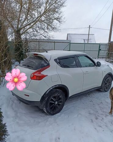 Nissan: Nissan Juke: 2011 г., Автомат, Бензин, Внедорожник at lalafo.kg — 4 Nissan: Nissan Juke: 2011 г., Автомат, Бензин, Внедорожник — 4