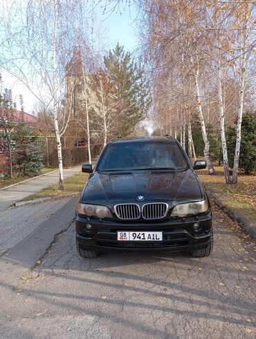 BMW: BMW X5: 2003 г., 4.4 л, Автомат, Бензин, Кроссовер — 6