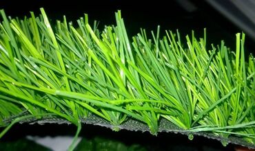 семена белого клевера: Газон искусственный, искусственная трава для футбольных полей и
