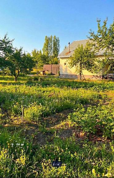 Продажа дач: 🏡🔥 ДАЧА У РЕКИ | АРАШАН 🌊⛰️ 📍 Закрытый кооператив “Предгорный” ✅ — 7