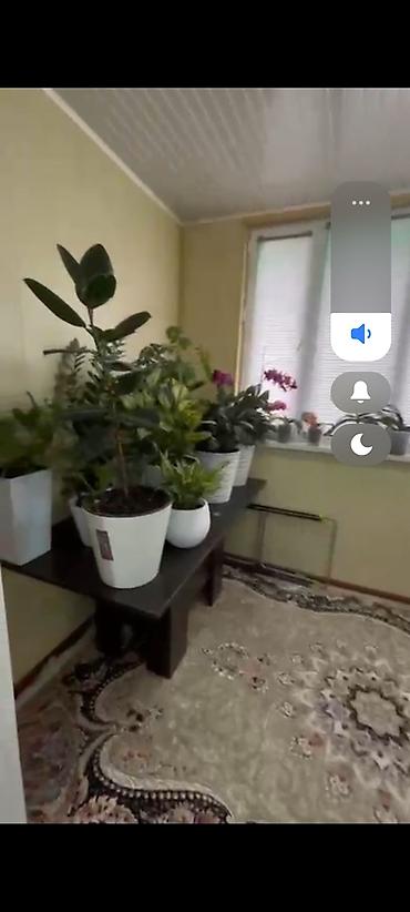 Бөлмөлөрдү сатып алуу: 4 бөлмө, 105 м², 107-серия, 4 кабат, Евро оңдоо — 6