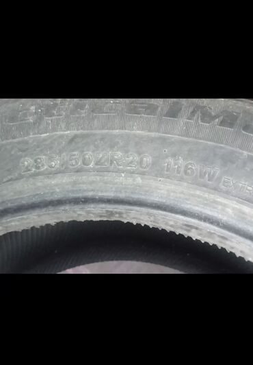 шины 28550 r20 зима: Комплект 5000
Продаю шины летние 😎
285/50 R20 😍