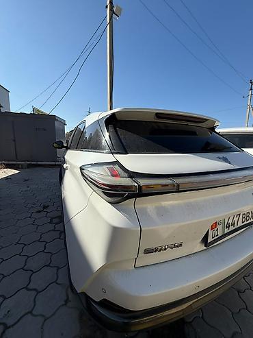 BYD: BYD : 2023 г., Электромобиль, Кроссовер — 8