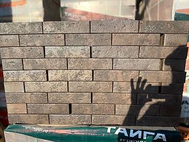 Огнеупорный кирпич: Шамотный кирпич, 250x124x65 — 47