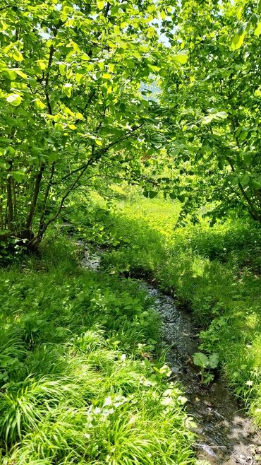 Turizm: 7 sot torpaqda 3 otaqli ev Yasayis ucun her bir serait vardir Qaz su — 4