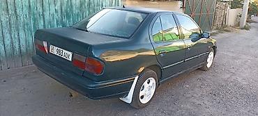 thindiag 2: Nissan Primera: 1996 г., 1.6 л, Механика, Бензин, Седан — 2