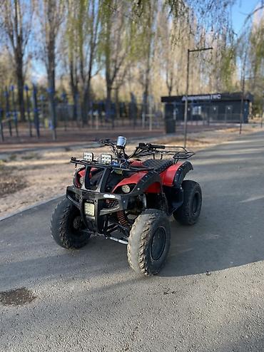 Квадроциклы: Квадроцикл Подходит для: - Прогулок по бездорожью, рыбалки, охоты - — 6