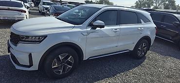 Kia: Kia Sorento: 2020 г., 1.6 л, Автомат, Гибрид, Кроссовер — 2
