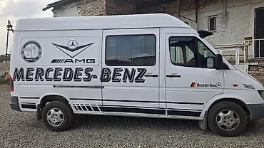 козырек спринтер: Mercedes-Benz Спринтер: 2002 г., 2.2 л, Механика, Дизель, Минивэн — 2