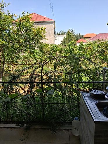 Torpaq: 12 sot, Mülkiyyətçi, Kupça (Çıxarış) — 3