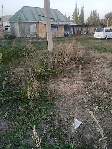 ижарага комната: 30 соток, Курулуш — 1