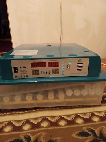 ınqbator: Bu tam avtomatik inkubator yumurtaların inkubasiyası üçün nəzərdə — 2