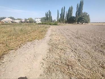 30: 33 соток, Для строительства, Договор купли-продажи, Красная книга, Тех паспорт — 6