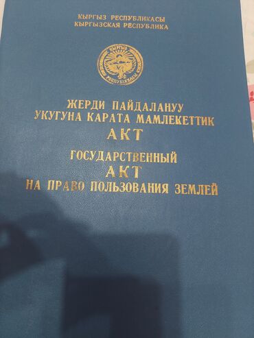 сдаю дом новопокровка: Подаётся земля 5 га. с.Вознесеновка
