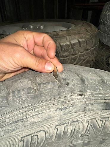 Комплект зимних шин Dunlop на дисках - Количество: 4 шт. - Сезон lalafo.kg да — 2 Комплект зимних шин Dunlop на дисках - Количество: 4 шт. - Сезон — 2