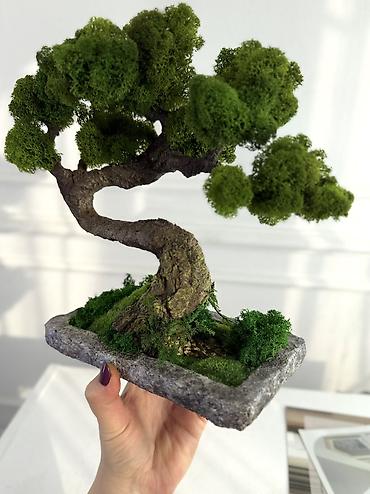 Декоративные цветы: Деревья-бонсай из натурального стабилизированного мха🌳 -это — 70