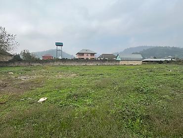 balaxanida torpaq: 22 sot, Kənd təsərrüfatı, Mülkiyyətçi, Kupça (Çıxarış) — 3