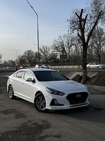 Hyundai: Hyundai Sonata: 2023 г., 2 л, Типтроник, Газ, Седан — 11