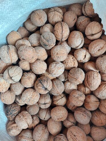 орешка комур: Орехи кг/70сом