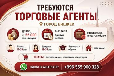 Вакансия: торговый агент (г. Бишкек) - Доход: от 55 000 сом + бонусы