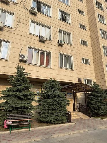 квартира дешевая: 2 комнаты, 53 м², ул. Ахунбаева / Чапаева Элитка, 3 этаж, Косметический ремонт — 9