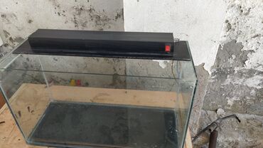 Akvariumlar: Dördbucaq akvarium, Boş, 25 l, Ünvandan götürmə