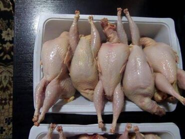 перепелки мясо: Перепел :, До 1 кг