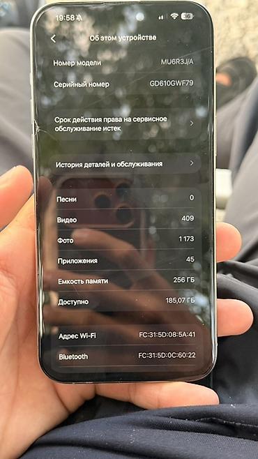 apple 16e: IPhone 15 Pro Max, титановый корпус, цвет светло‑серый. Память 256 ГБ — 2