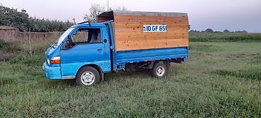 Hyundai: Hyundai H-100: 2.5 l | 1998 il Pikap — 8