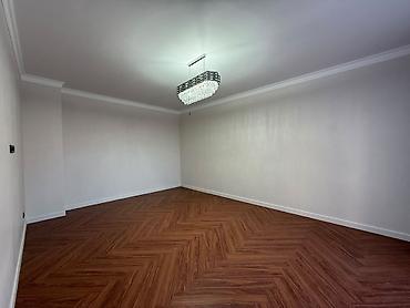 центральная улица: 230 м², 6 комнат и более, С подселением — 4