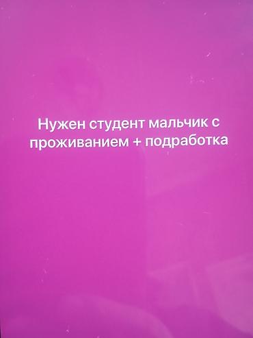 Требуется Администратор: Хостел, Без опыта, Оплата: Ежемесячно