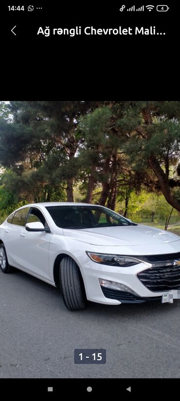 Chevrolet: Chevrolet Malibu: 1.5 l | 2019 il 194000 km Sedan