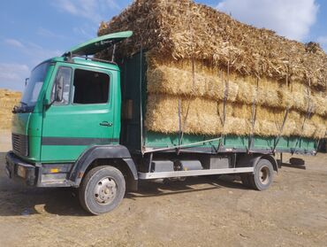 Грузовики: Грузовик, Mercedes-Benz, Стандарт, 5 т, Б/у