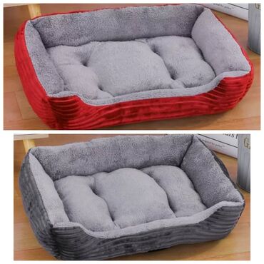 Зоотовары: ПРОДАЮ КОШАЧЬЮ МЯТУ(АНТИСТРЕСС),ПОРАДУЙТЕ СВОГО КОТИКА ТАКОЙ at lalafo.kg — 30 Зоотовары: ПРОДАЮ КОШАЧЬЮ МЯТУ(АНТИСТРЕСС),ПОРАДУЙТЕ СВОГО КОТИКА ТАКОЙ — 30