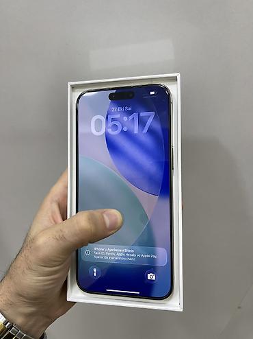 17 pro max mini: IPhone 15 Pro Max, 256 GB, Natural Titanium, Face ID — 2