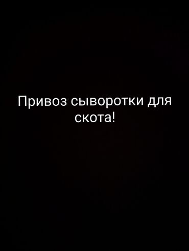 инкубационные яйца брама: Услуга: привоз сыворотки для скота. Описание:Привезу сыворотку для