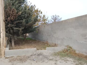 Torpaq sahələrinin satışı: 2 sot, Tikinti, Mülkiyyətçi, Kupça (Çıxarış) -da lalafo.az — 7 Torpaq sahələrinin satışı: 2 sot, Tikinti, Mülkiyyətçi, Kupça (Çıxarış) — 7