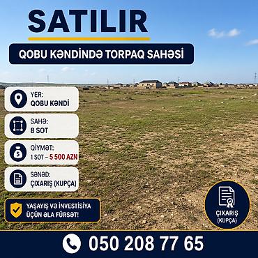 500: 8 sot, Tikinti, Kupça (Çıxarış) — 1