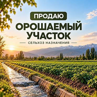 ферма 3 метра: 120 соток, Для сельского хозяйства — 1
