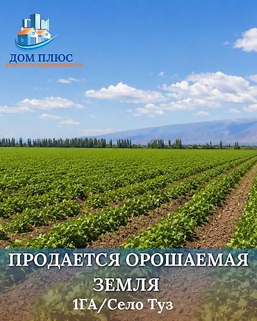 село тон: 100 соток, Для сельского хозяйства — 1