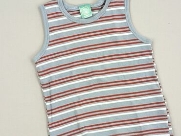 bielizna z triumfa: T-shirt, Little kids, 3-4 years, 92-98 cm, condition - Very good