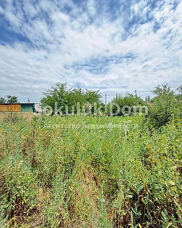 Продажа коттеджей и домов: 🏠Продается дом в с. Сокулук 🟡Комнаты: 3 🟡Участок: 12,81 соток (по — 6