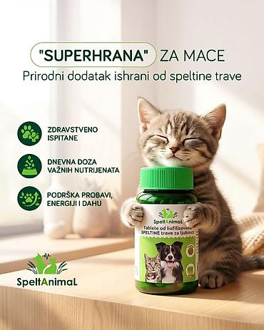 Oprema za kućne ljubimce: Pet shop Maza & Nera – sve za pse i mačke na jednom mestu - Širok — 23